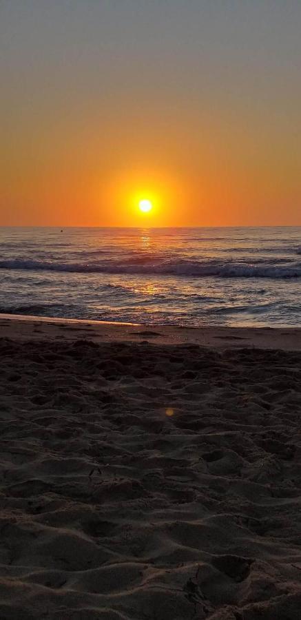 Bungalow Con Terraza La Mata La Mata  Zewnętrze zdjęcie